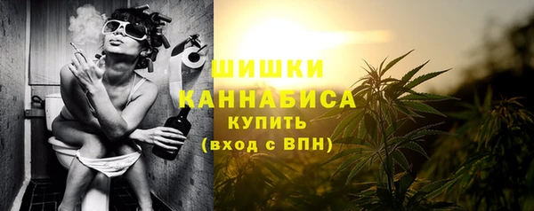 гашик Заводоуковск