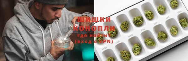 гашик Аркадак