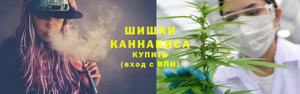 гашик Аркадак