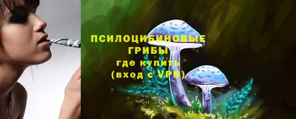 гашик Аркадак