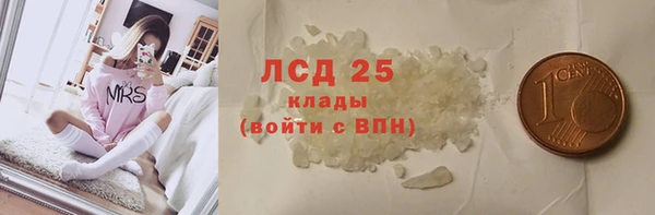 гашик Аркадак