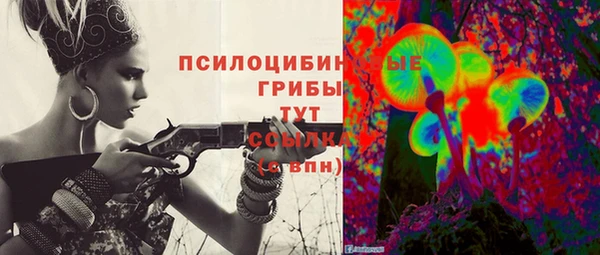 гашик Аркадак