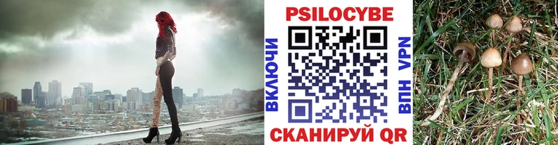 Псилоцибиновые грибы прущие грибы  Сенгилей 