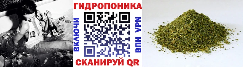 Шишки марихуана VHQ  где можно купить   Сенгилей 